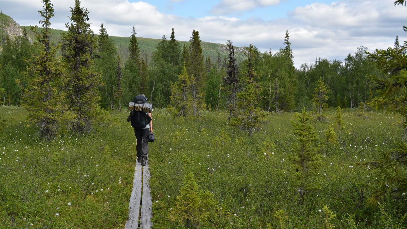 Alla ska med. På en vandring på myrmark i Norrbotten. Foto: Eva Sagerfors