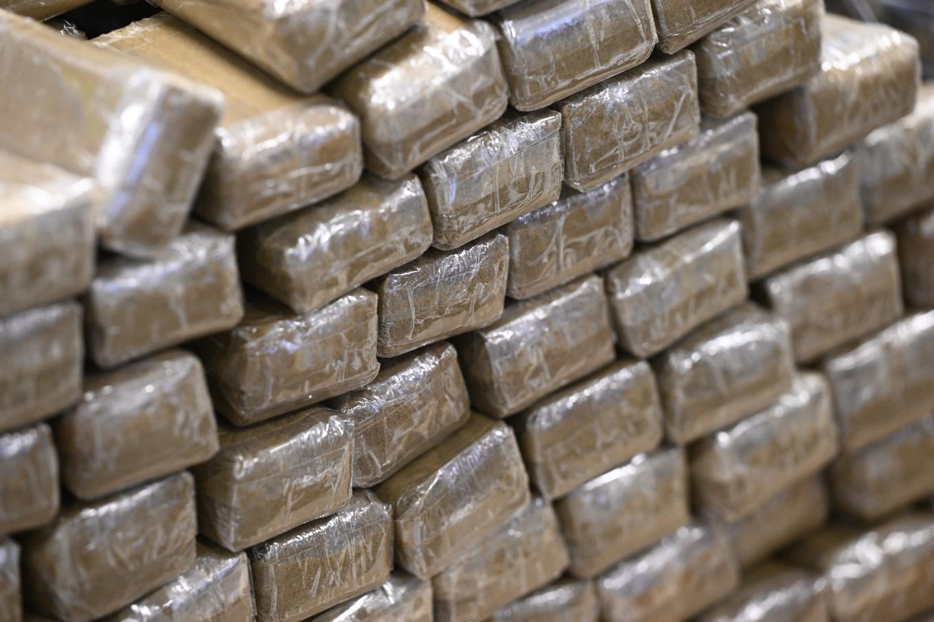 Stora mängder cannabisharts har beslagtagits i en fransk borgmästares hem. Arkivbild. Foto: Johan Nilsson/TT