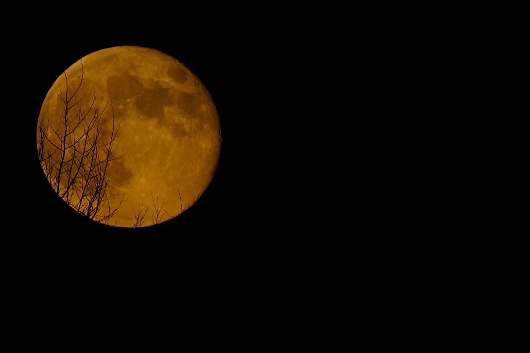Vår närmaste himlakropp månen, fotograferad från Bryssel i Belgien. Arkivbild. Foto: Virginia Mayo/AP/TT