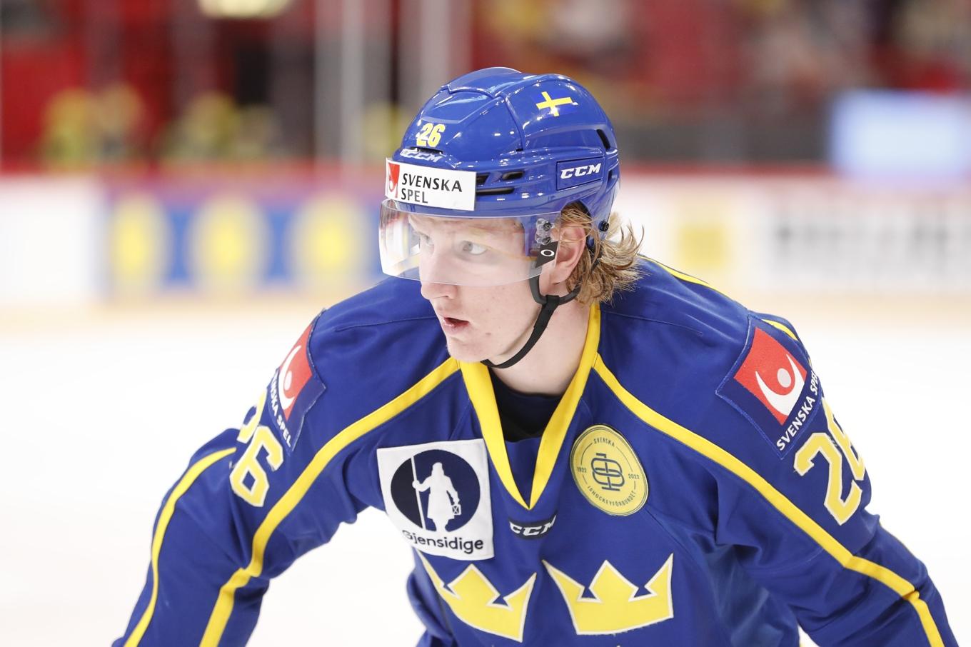 Rasmus Dahlin. Arkivbild. Foto: Christine Olsson/TT