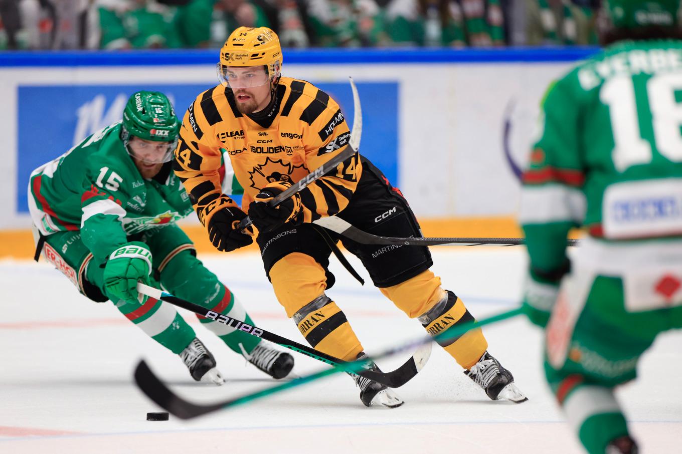 Andreas Johnson, i gult, såg till att skaffa Skellefteå guldläge. Foto: Andreas Hillergren/TT