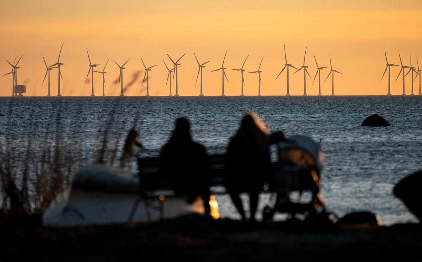 Sveriges största havsbaserade vindkraftpark – Lillgrund – söder om Öresundsbron. Arkivbild. Foto: Johan Nilsson/TT