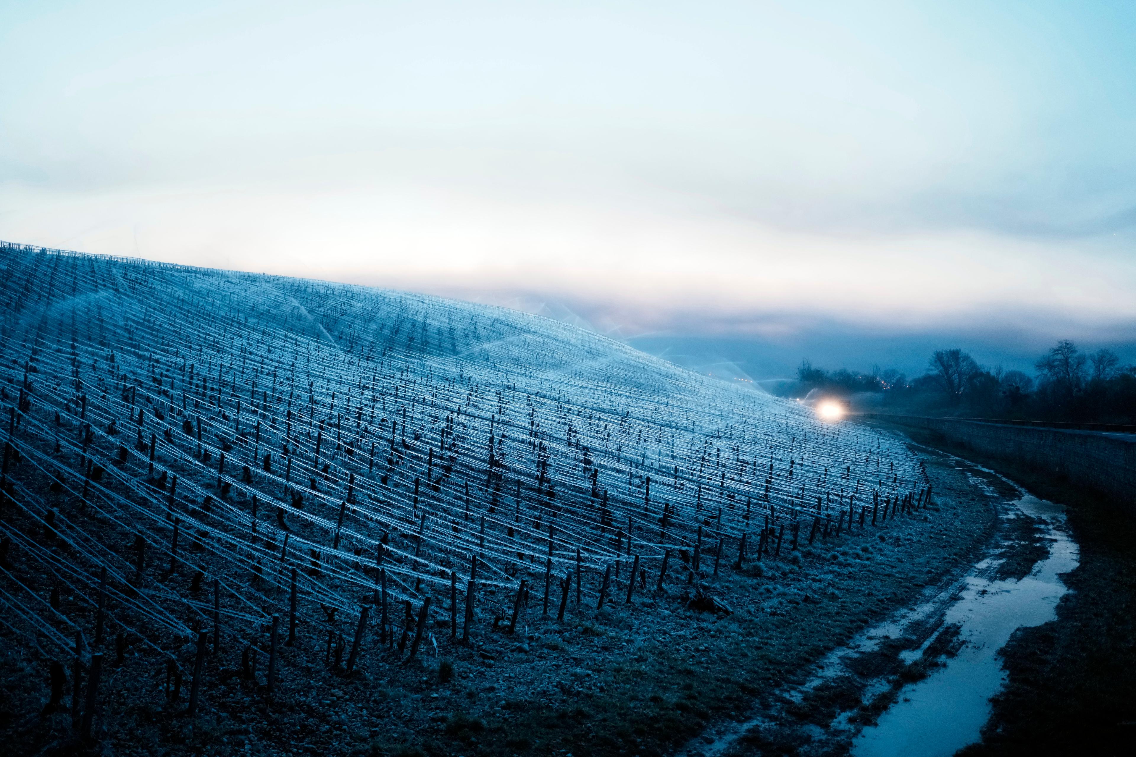 En hagelstorm har skapat förödelse i ett vindistrikt i Chablis. Området är särskilt utsatt av ett allt tuffare klimat. Bilden är från april 2022 då vinodlare fick ta till särskilda åtgärder för att skydda rankorna från frost. Foto: Thibault Camus AP/TT