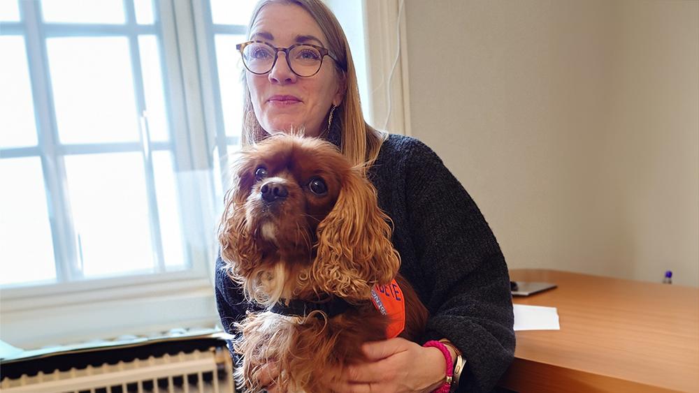 Hunden Sammi hjälper elever med prestationsångest och underlättar lärandet. Foto: Pressbild