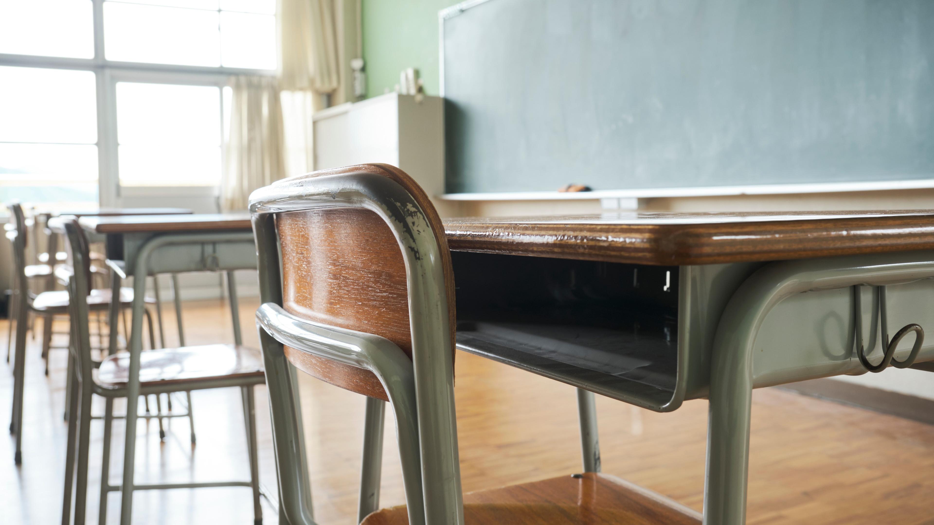 Nya rapporter om svensk skola och ungdomars tillstånd avslöjar att det har förts en felaktig skolpolitik i flera decennier, skriver Inger Enkvist. Foto: Apiold/Shutterstock