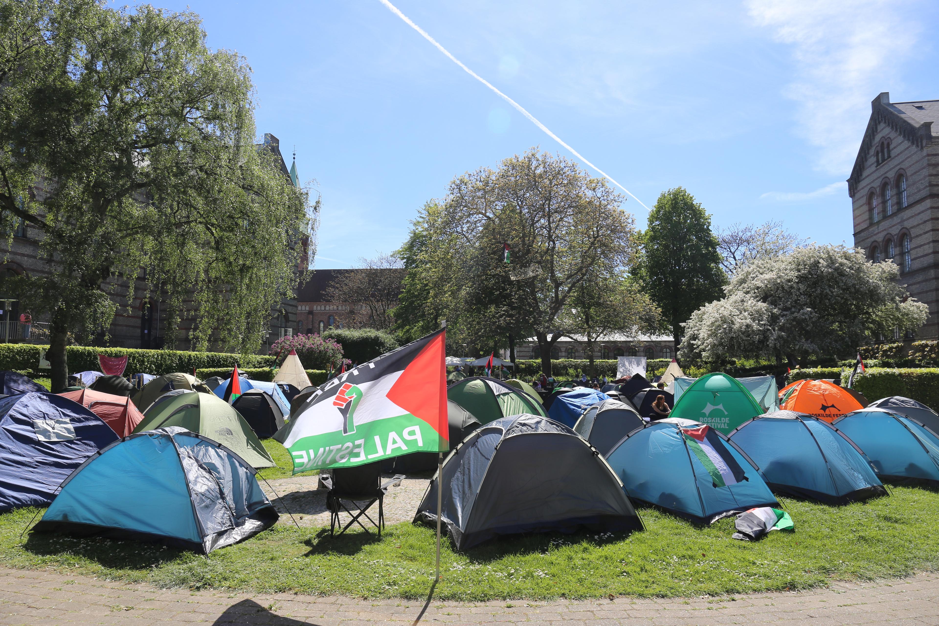 Studenter vid Köpenhamns universitet har tältat i protest mot kriget i Gaza sedan 6 maj. Arkivbild. Foto: Cornelia Mikaelsson/TT