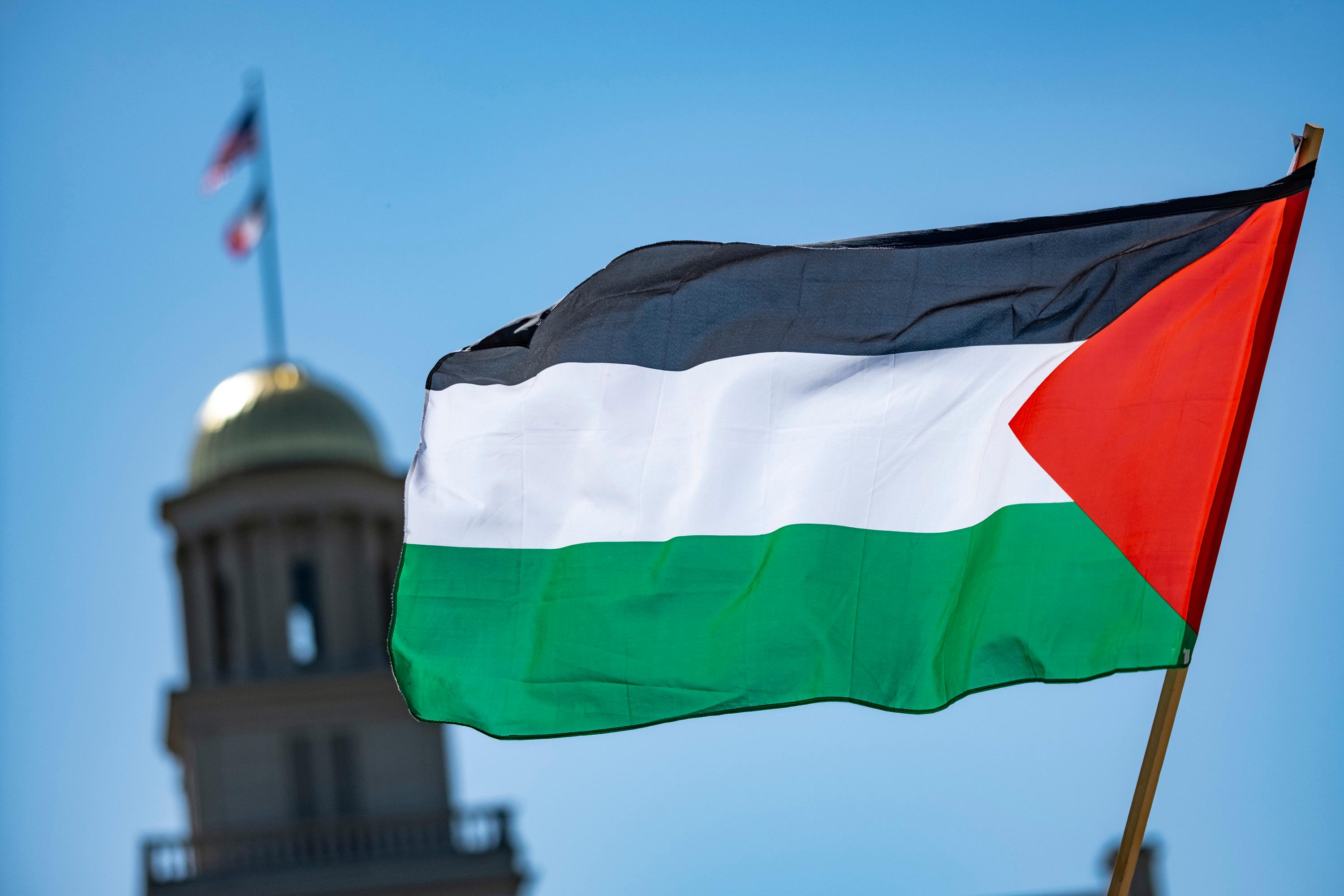 En palestinsk flagga under en demonstration i Iowa, USA tidigare i maj. Foto: Geoff Stellfox/AP/TT