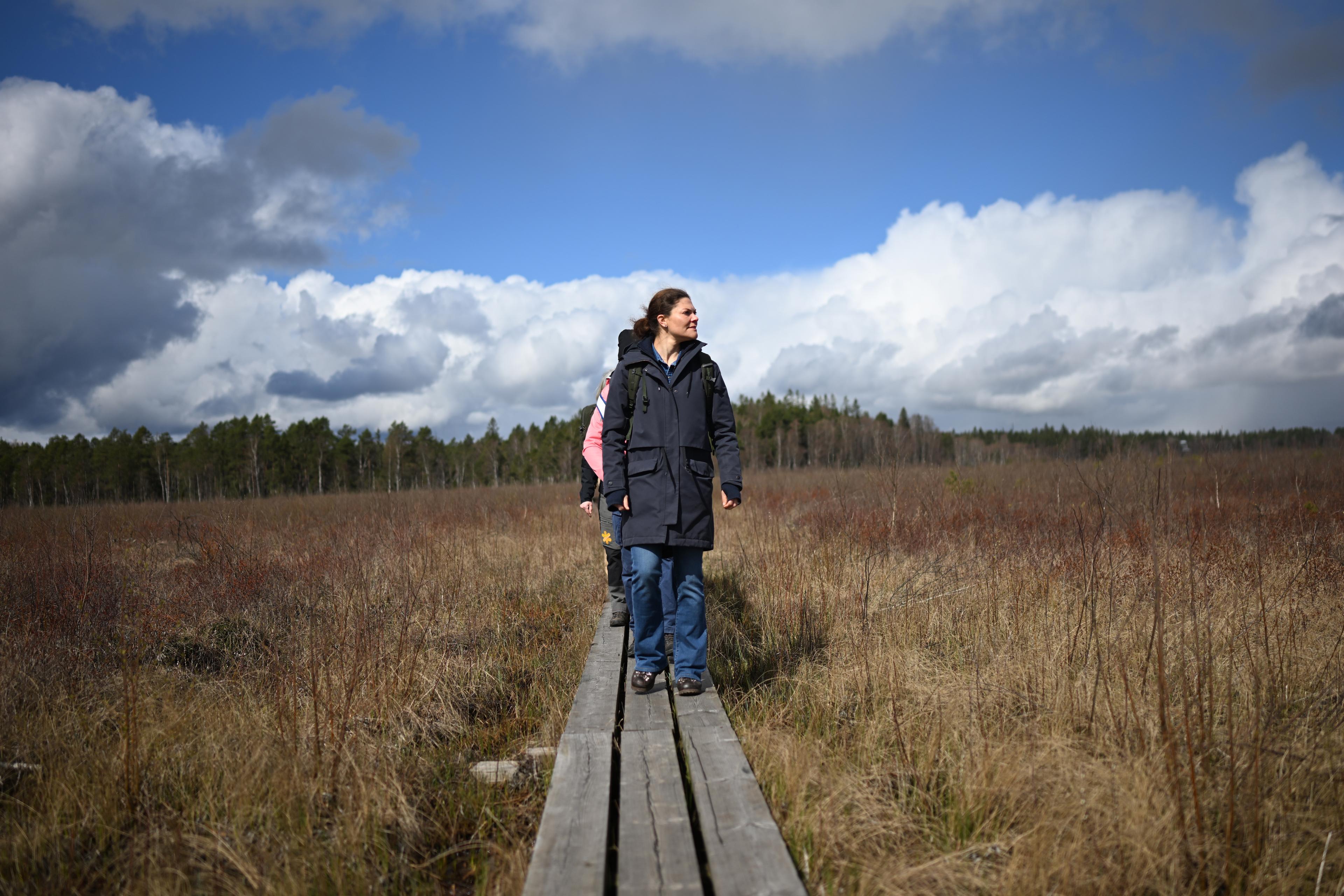 Skötsel av värdefulla naturområden är eftersatt i Sverige, enligt Riksrevisionen. På bilden kronprinsessan Victoria på besök i Stora Mosse nationalpark utanför Värnamo tidigare i våras. Arkivbild. Foto: Björn Larsson Rosvall/TT