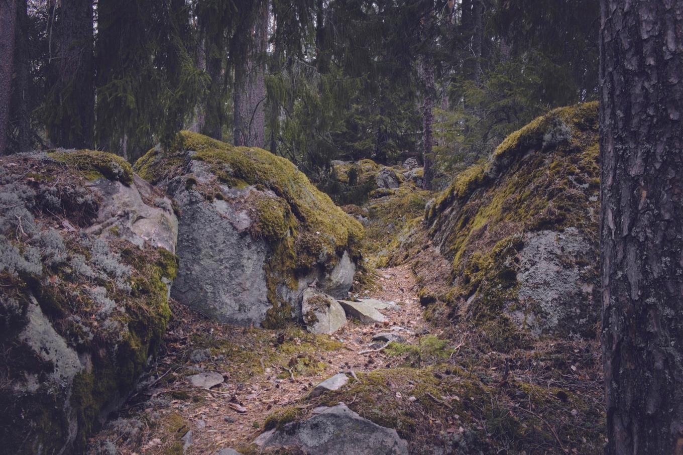 Naturen skänker inte bara avslappning och skönhet. Den har också förmågan att koppla oss samman med något som är större än oss själva. Foto: Johan Landquist