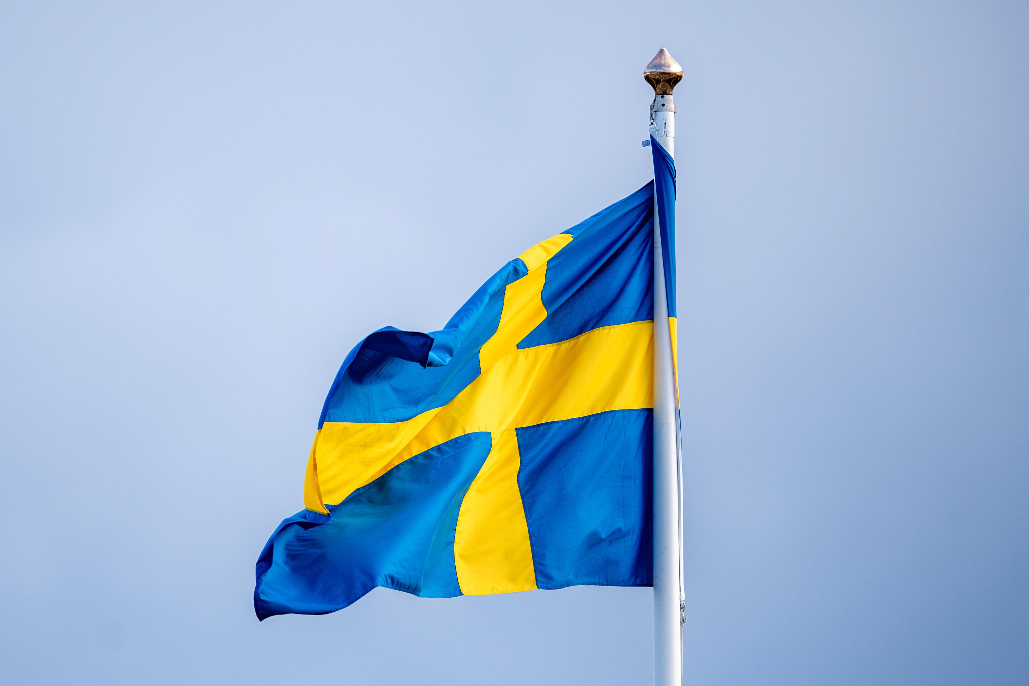 Sveriges finanser försvagas i år. Arkivbild. Foto: Ali Lorestani/TT