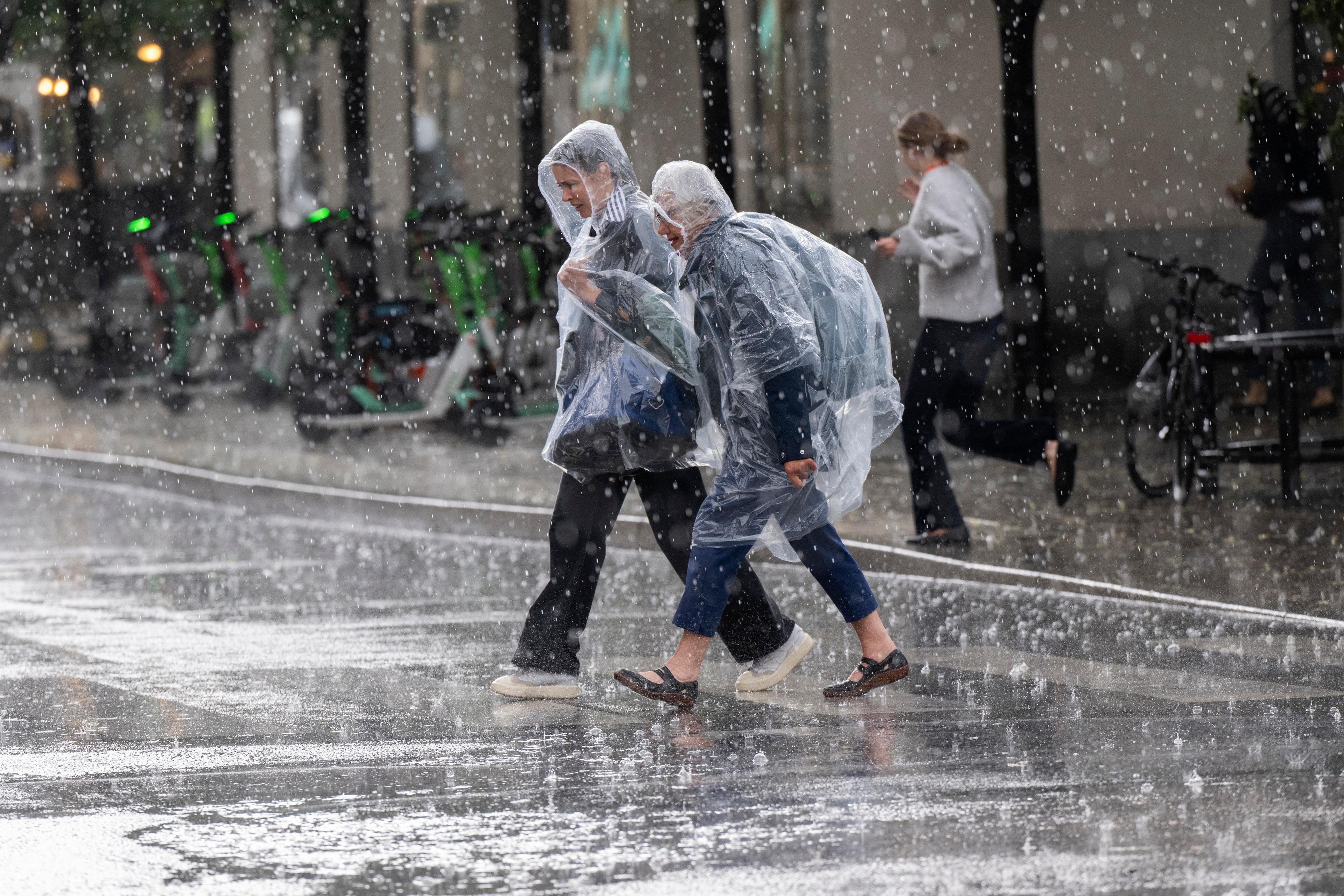 I delar av Norrbotten och Västerbotten varnas för skyfall. Arkivbild. Foto: Henrik Montgomery/TT