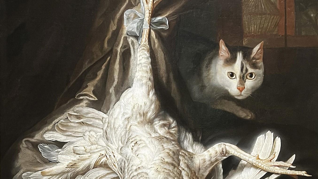 Skribenten kan tänka sig att prata med exempelvis en katt, men inte med en ansamling halvledare. Foto: Aron Lamm