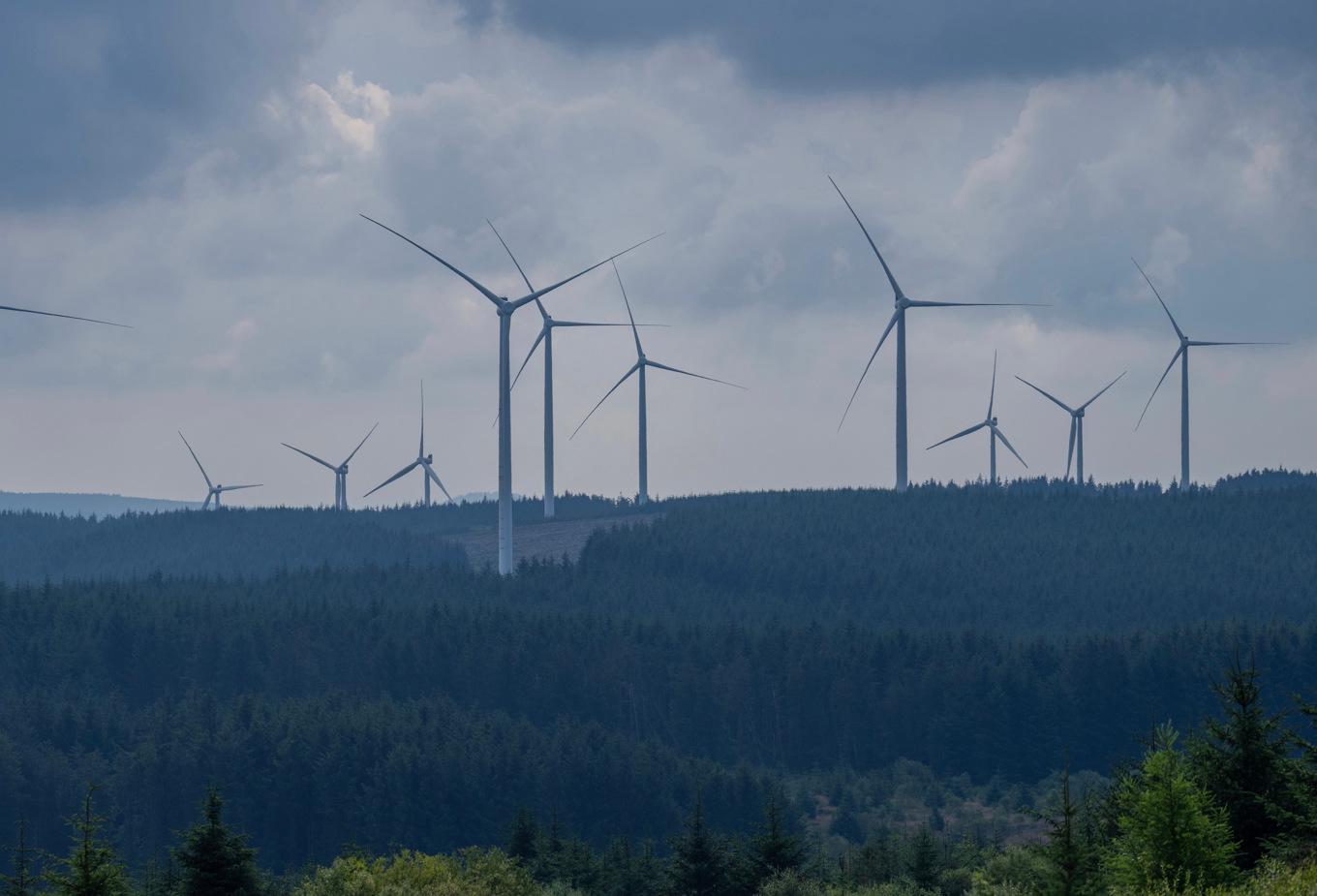 Det blir ingen vindkraftpark i Grums kommun, sedan Socialdemokraterna bestämt sig för att säga nej. 
Foto: Carl Court/Getty Images