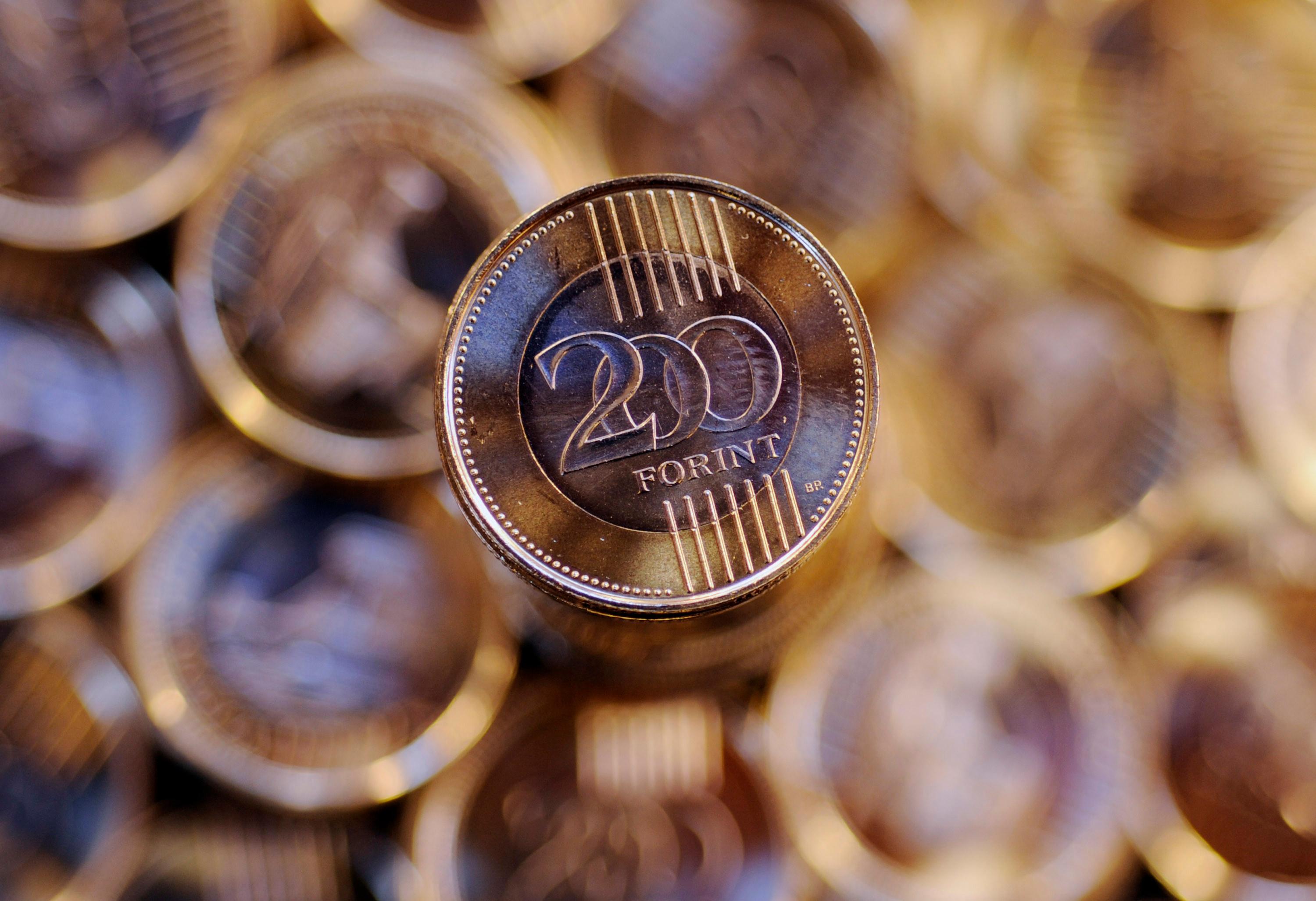 Den ungerska forinten rörde sig inte nämnvärt efter det att Ungerns centralbank sänkt styrräntan. Arkivbild Foto: Bela Szandelszky AP/TT