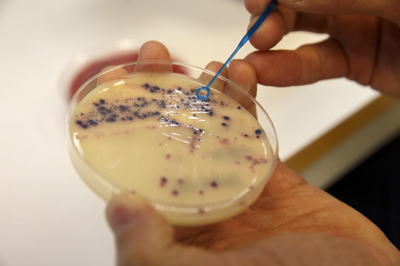 Antibiotikaresistens är ett växande problem världen över. Nanoplaster i våra kroppar kan göra det värre. Arkivbild. Foto: Cornelius Poppe/NTB/TT