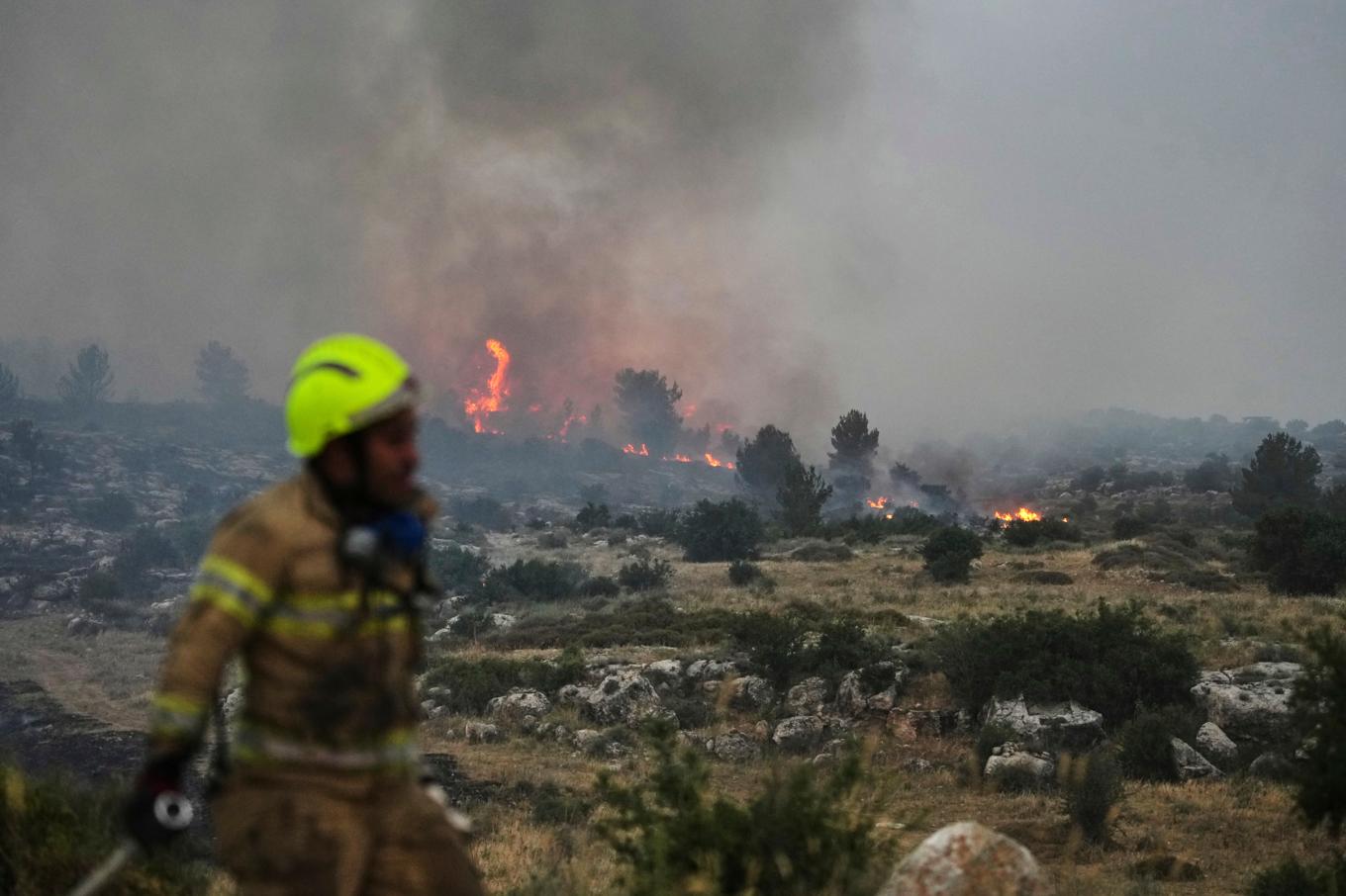 Branden har fått Israel att begära hjälp från flera andra länder. Foto: Ohad Zwigenberg/AP/TT