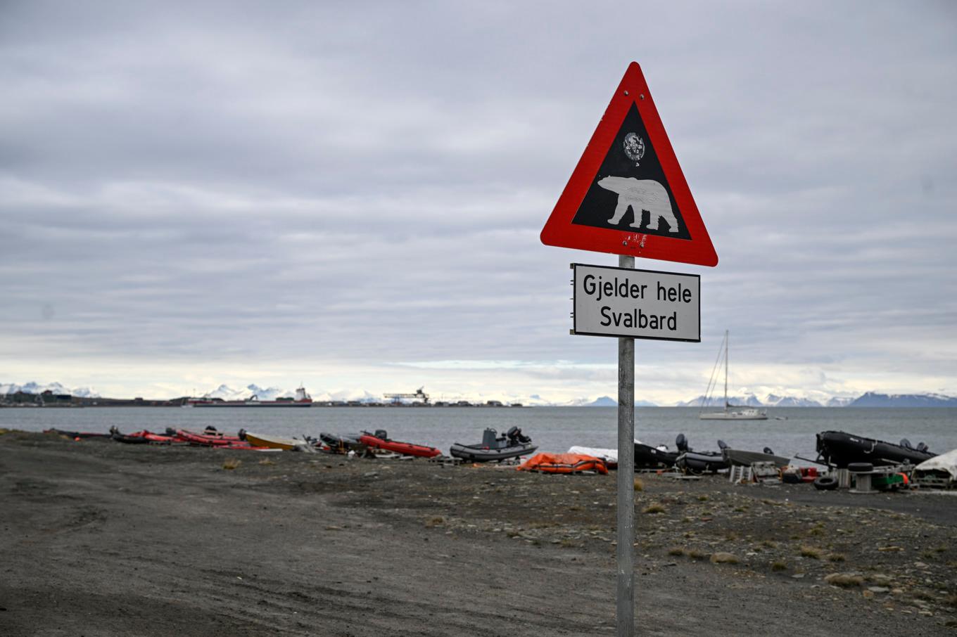 En skylt i Svalbards huvudort Longyearbyen varnar för isbjörnar. Arkivbild. Foto: Anders Wiklund/TT