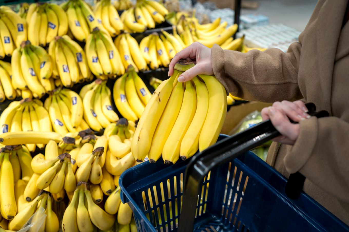 Arkivbild på bananer i en norsk mataffär. Foto: Gorm Kallestad/NTB/TT