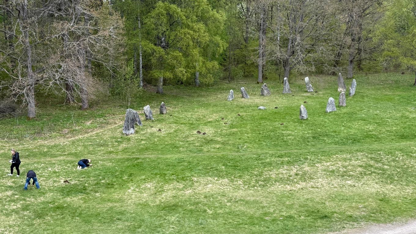 Gropar har grävts vid fornminnesområdet Anundshög utanför Västerås, som består av gravhögar, skeppssättningar och runstenar och användes under äldre bronsålder och vikingatid. Pressbild. Foto: Västerås stad