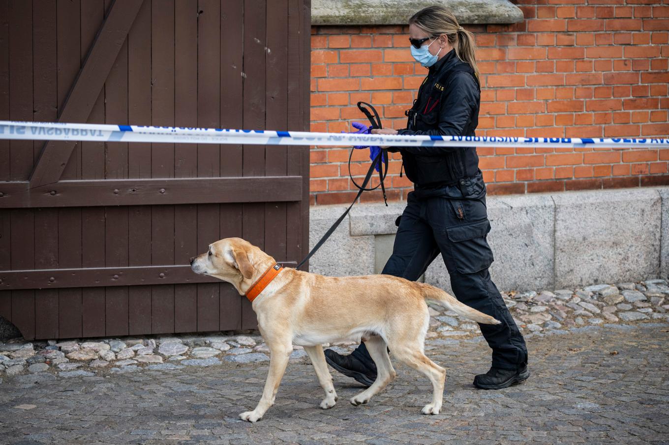Polis på plats på en skola i Ystad efter ett misstänkt mordförsök på onsdagen. Foto: Johan Nilsson/TT