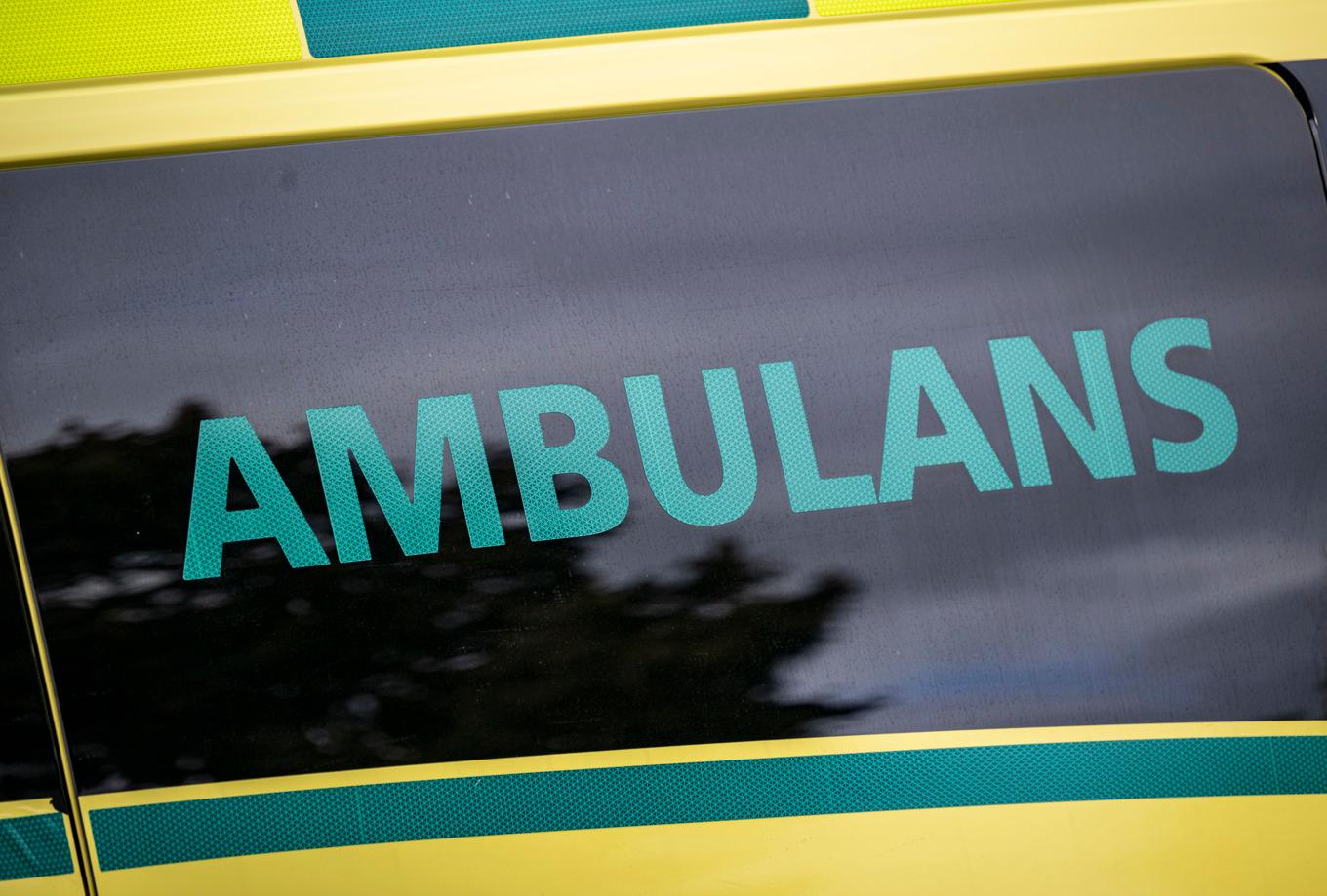 En äldre kvinna har avlidit sedan hon blivit påkörd av en buss. Arkivbild. Foto: Johan Nilsson/TT