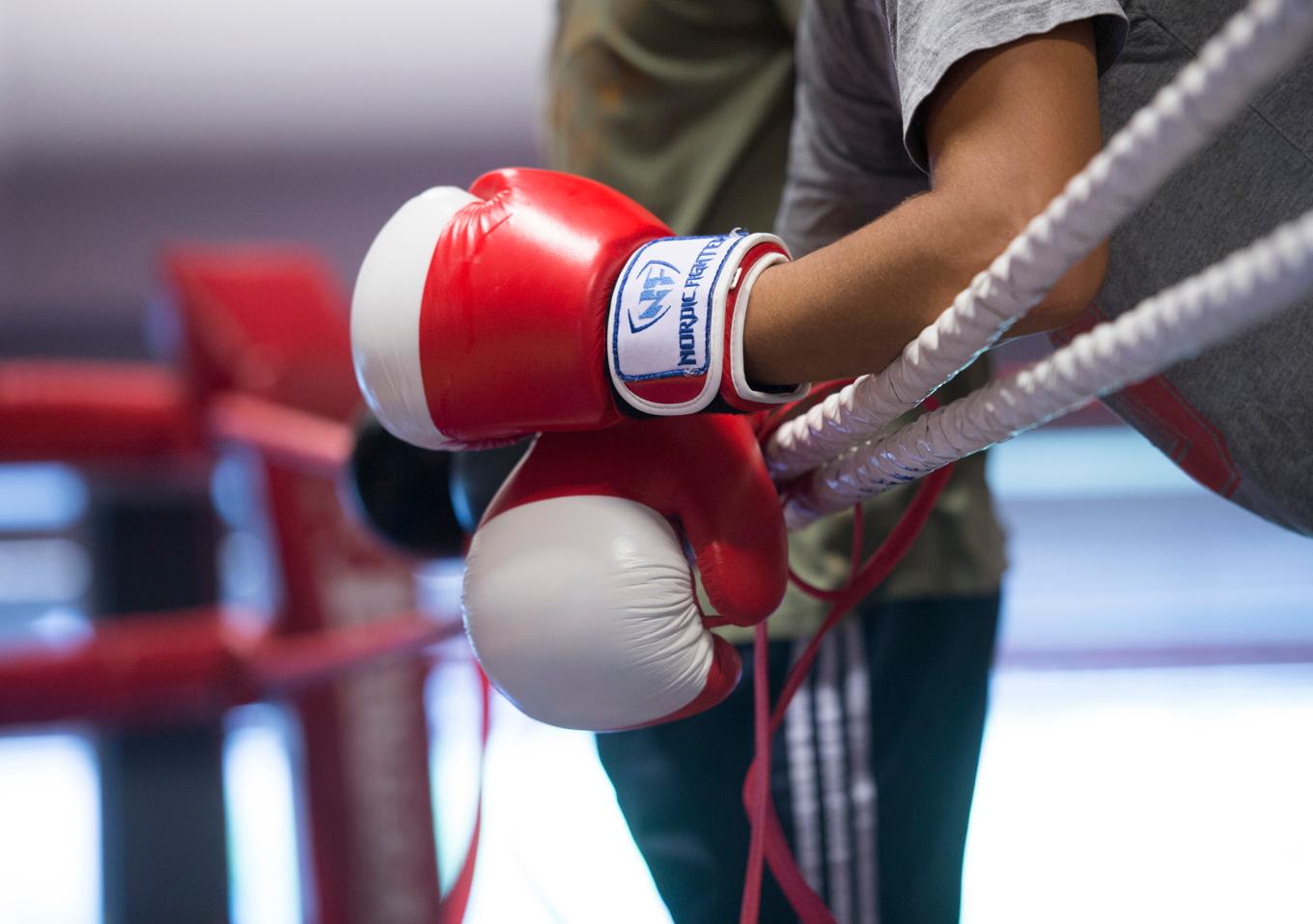 Svenska boxningsförbundet har fått en ny ordförande. Foto: Fredrik Sandberg/TT
