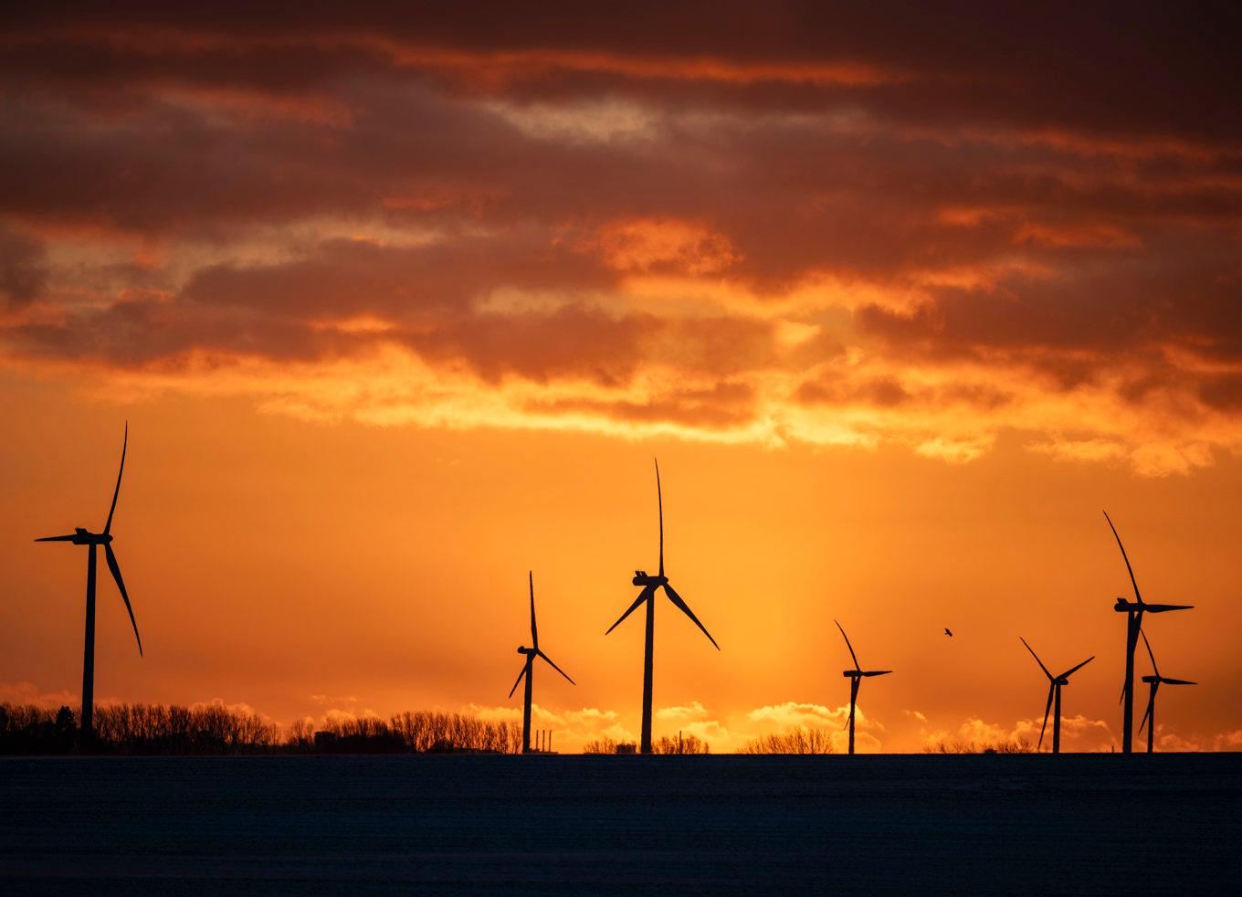 Under förra året nekades tillstånd för många vindkraftsprojekt. Arkivbild. Foto: Johan Nilsson/TT