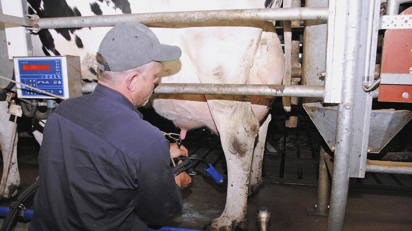 Det anses ljusna för många delar av lantbruket, bland annat mjölkproduktionen. Foto: Hans Bengtsson
