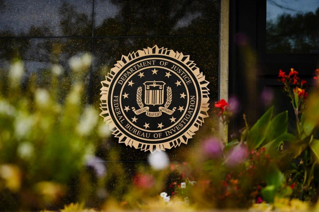 FBI har genomfört en fem dagar lång razzia mot personer som utnyttjar minderåriga online. Foto: Madalina Vasiliu
