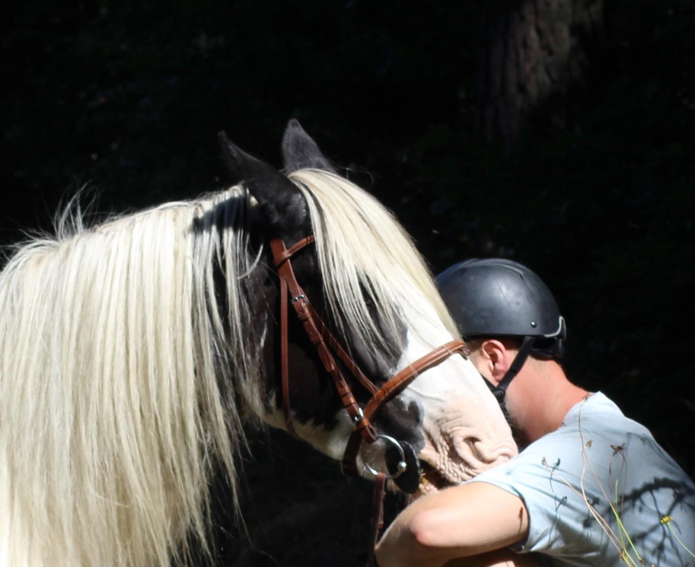 Forskning visar att frisättningen av må-bra-hormonet oxytocin optimeras vid trygg kontakt med djur och natur. Foto: Cajsa Stålhammar