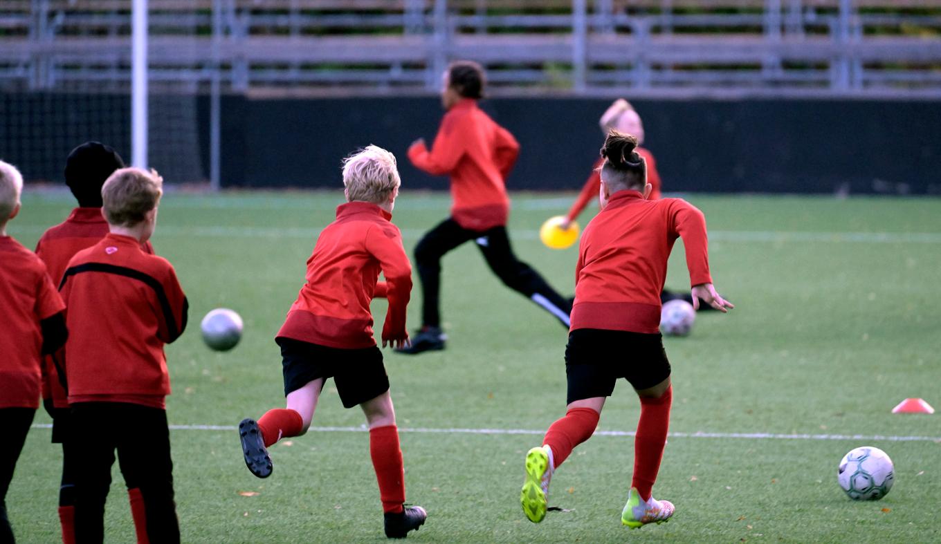 Fotbollen är förlorare när RF:s bidragstak blir kvar. Arkivbild. Foto: Janerik Henriksson/TT