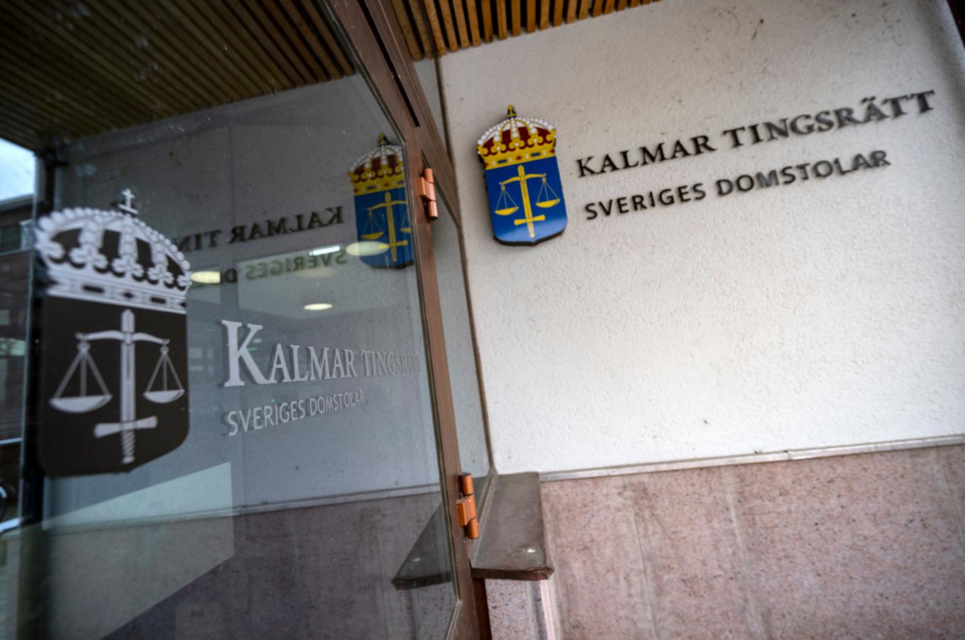 En tonårsflicka har häktats som misstänkt för mordförsök. Arkivbild. Foto: Johan Nilsson/TT
