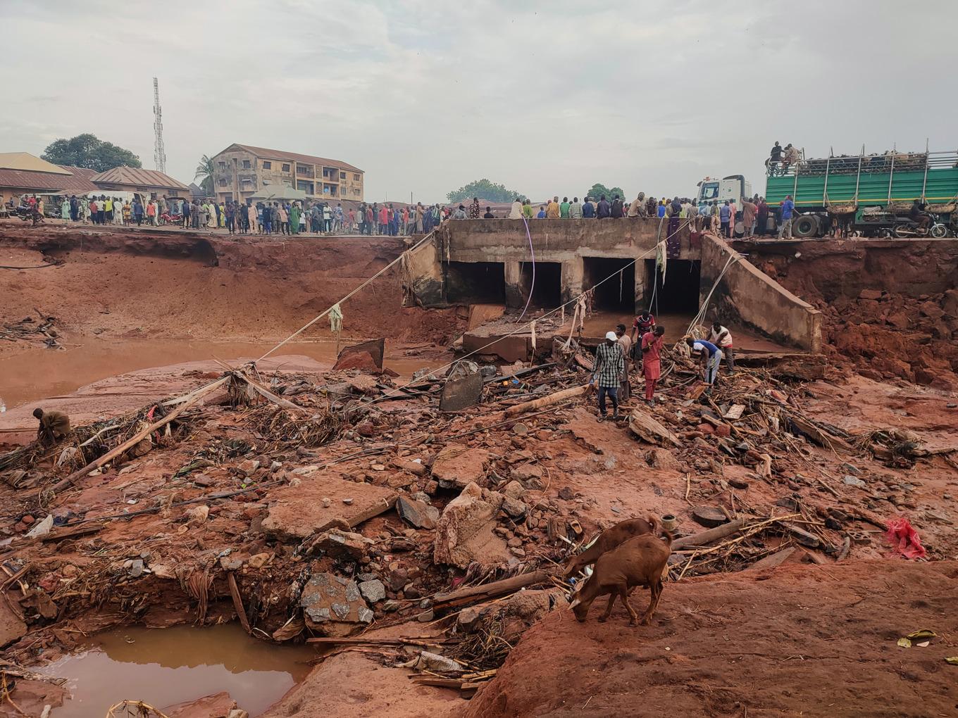 Mer än 150 perosner har hittills hittats döda efter översvämningarna i Mokwa i Nigeria. Foto: Chenemi Bamaiyi/AP/TT