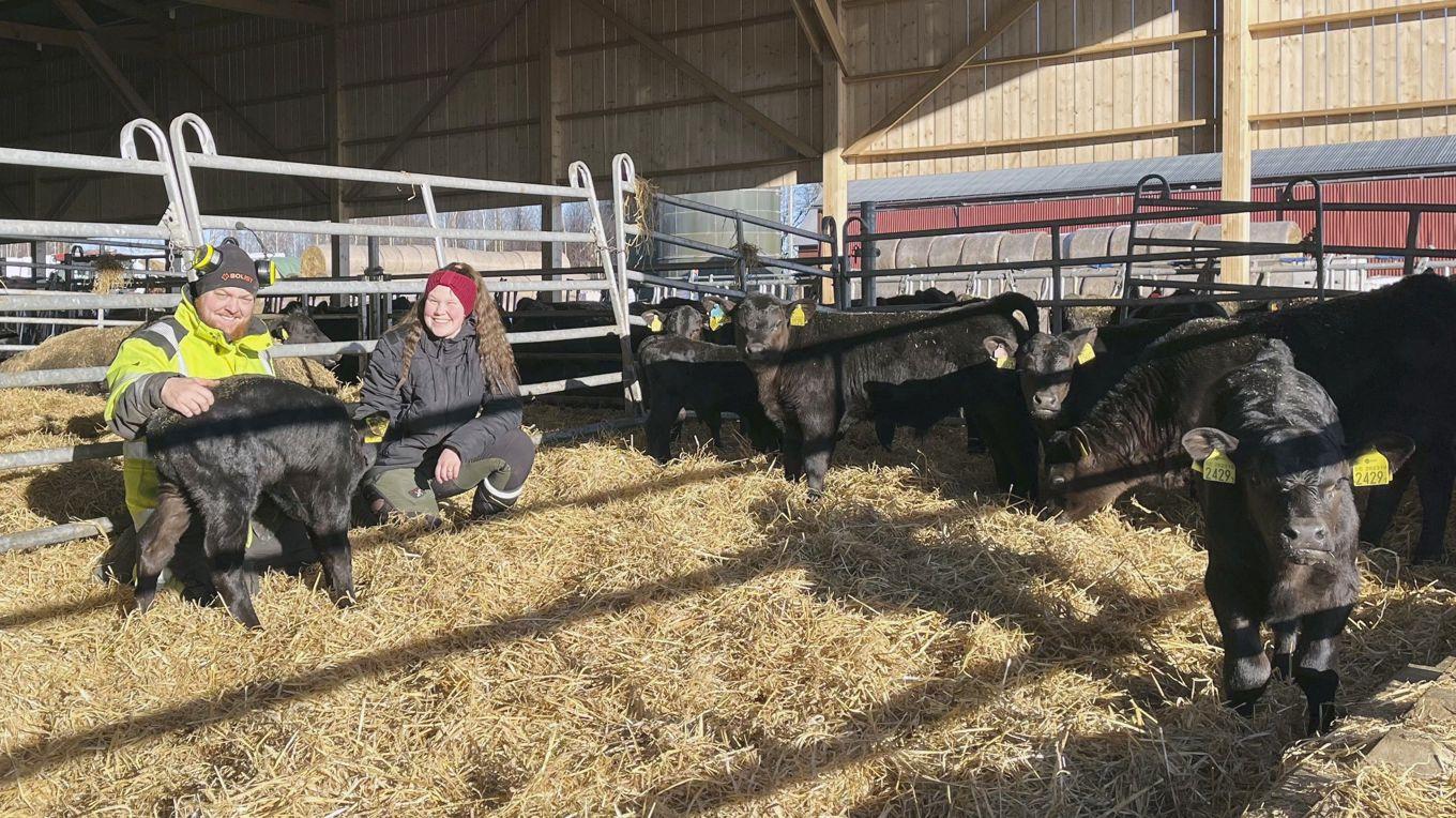 Köttbonden Jocke Andersson gläds åt den ökade försäljningen och tror sig veta varför fler vill äta kött. Foto: Privat