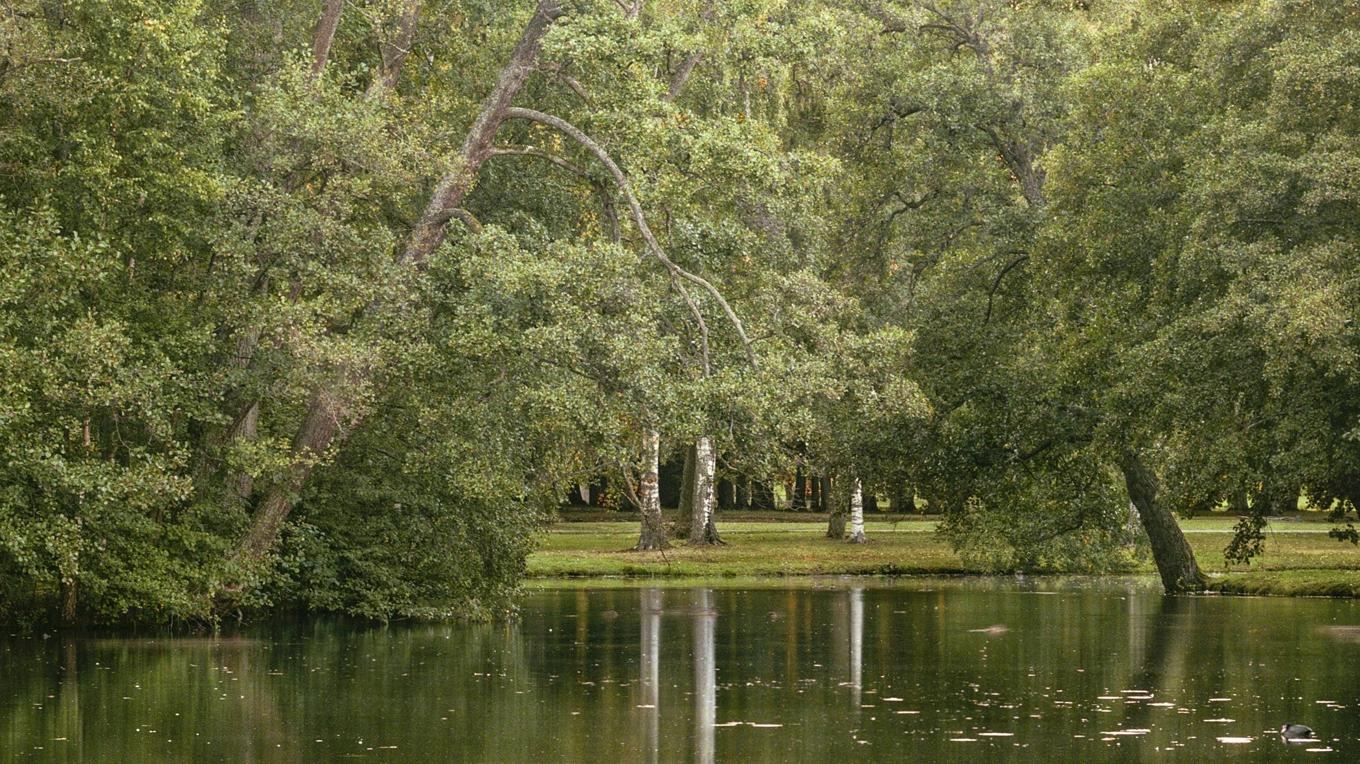 Fotografen Lars Nilsson medverkar i ”Den förtrollade skogen”, som pågår i sommar. Foto: Lars Nilsson