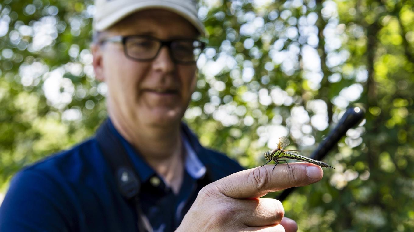 Det är Artportalens användare som driver plattformen framåt. Genom deras arbetsinsats skapas en omfattande kunskapsbank för den svenska floran och faunan. Foto: Tomas Carlberg