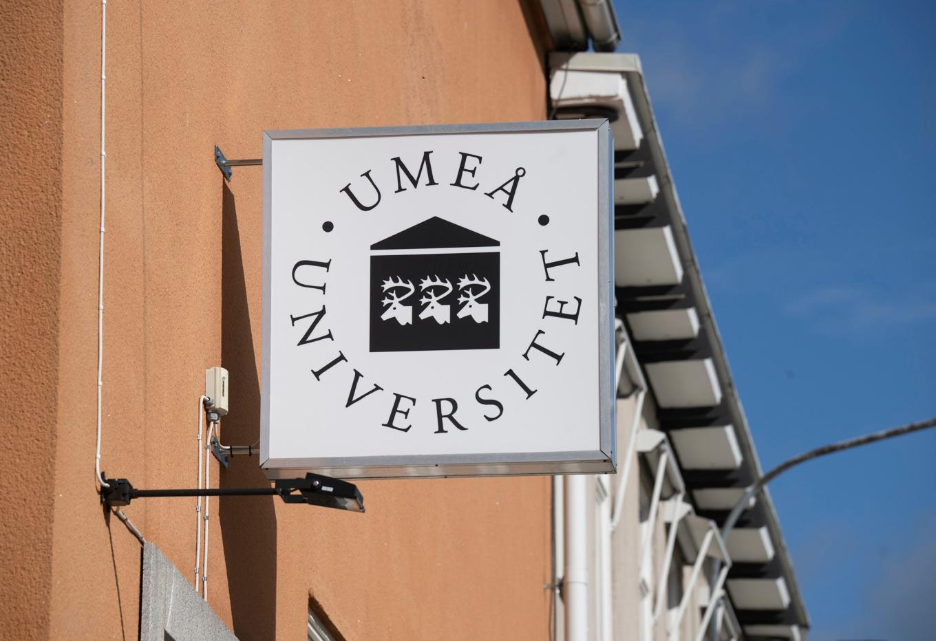 Forskare vid Umeå universitet har gjort en viktig upptäckt som kan förbättra prognosen för cancersjuka. Arkivbild. Foto: Fredrik Sandberg/TT