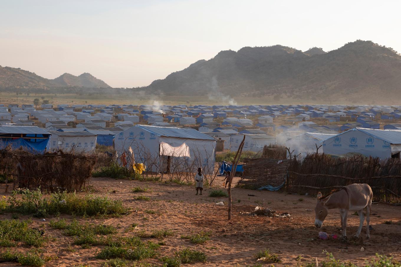 Många sudanesiska flyktingar har tagit sig över till grannlandet Tchad. Arkivbild. Foto: Michael Knief/AP/TT