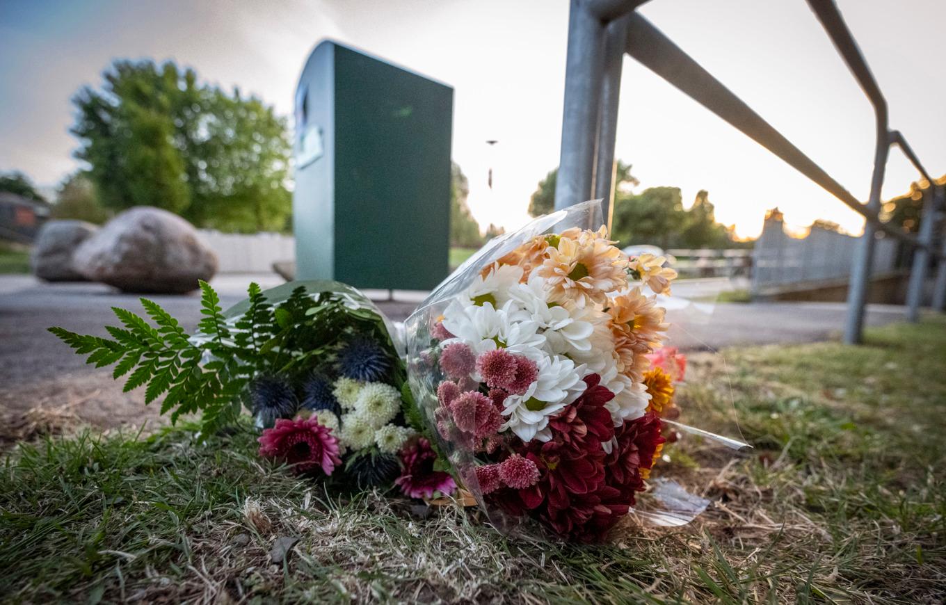 Blommor på Ramels väg på Rosengård i Malmö där en man i 25-årsåldern sköts till döds med ett automatvapen i slutet av augusti 2024. Arkivbild. Foto: Johan Nilsson/TT