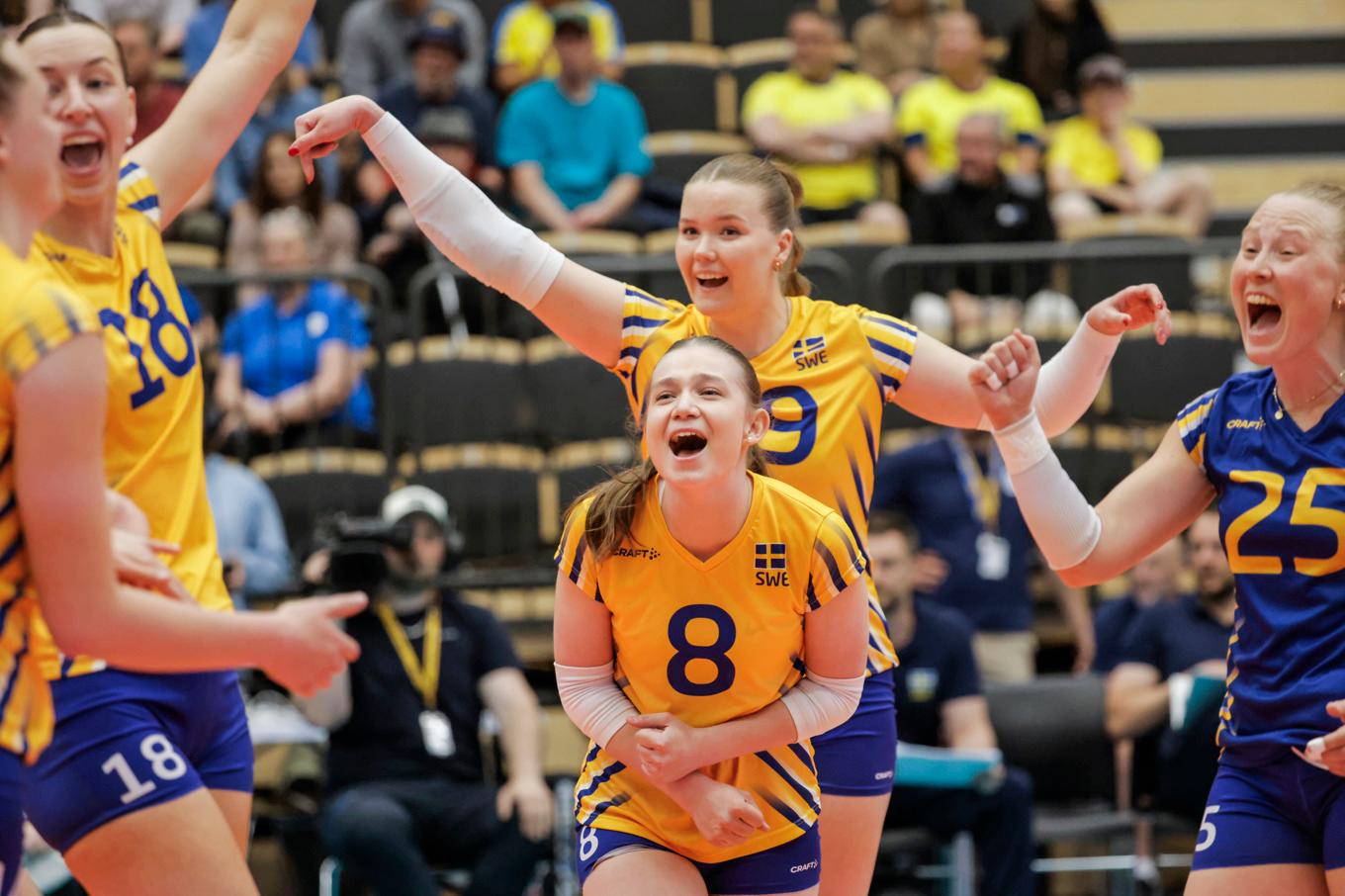 Volleybolldamerna slog Spanien klart i Alicante. Arkivbild. Foto: Pavel Koubek/TT