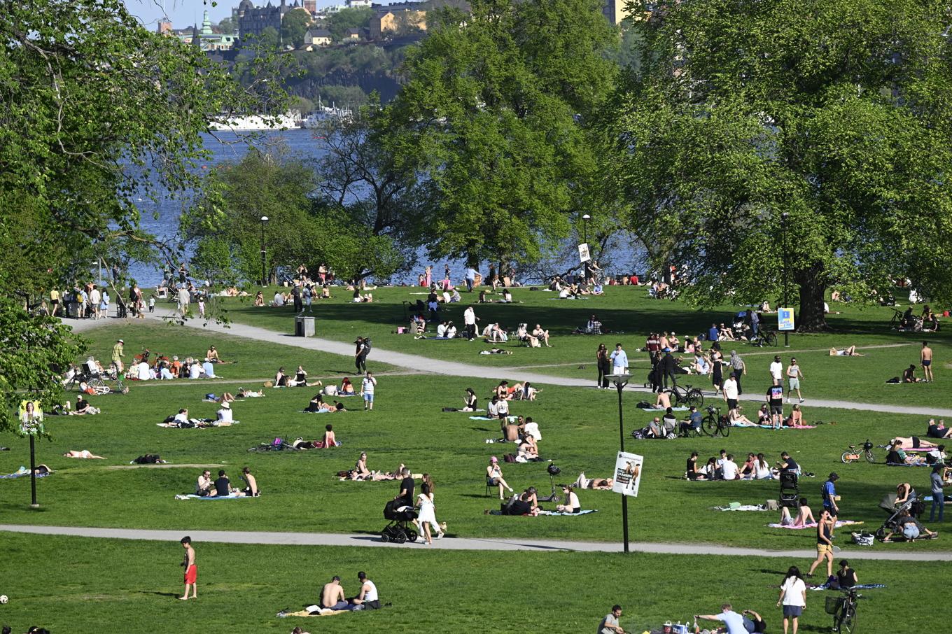 Soligt och varmt blir det på många håll kommande helg. Arkivbild. Foto: Fredrik Sandberg/TT
