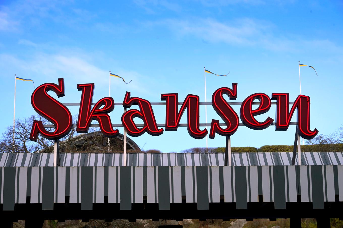 Skansen i Stockholm är Sveriges mest besökta museum. Under 2024 ökade besöken på Sveriges museer med nästan 5 procent. Foto: Janerik Henriksson/TT