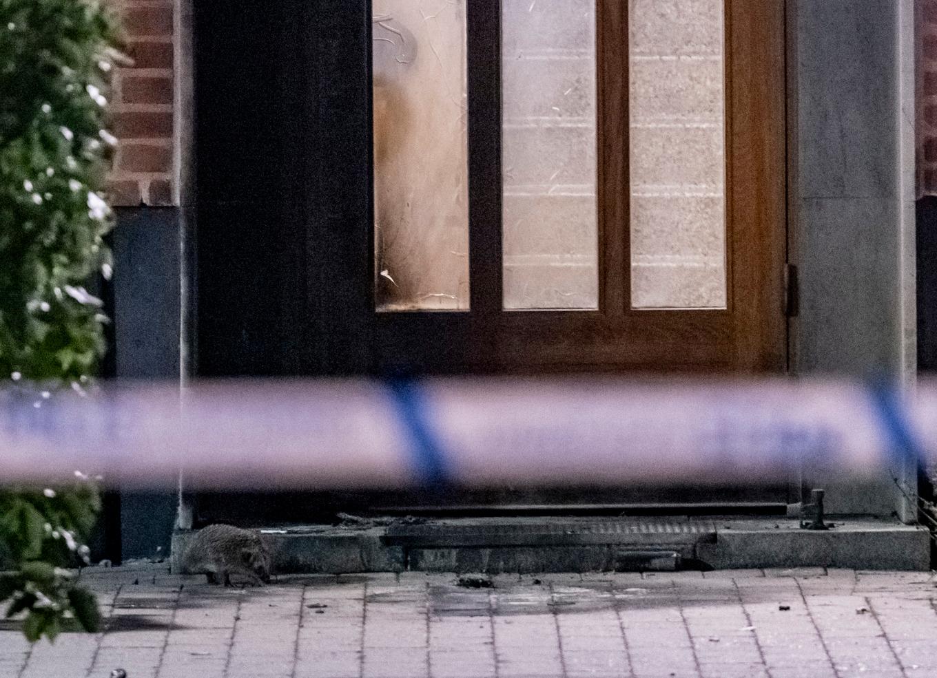 En nyfiken igelkott undersöker skadorna vid entrén till ett flerfamiljshus där en detonation orsakade en brand. Foto: Johan Nilsson/TT