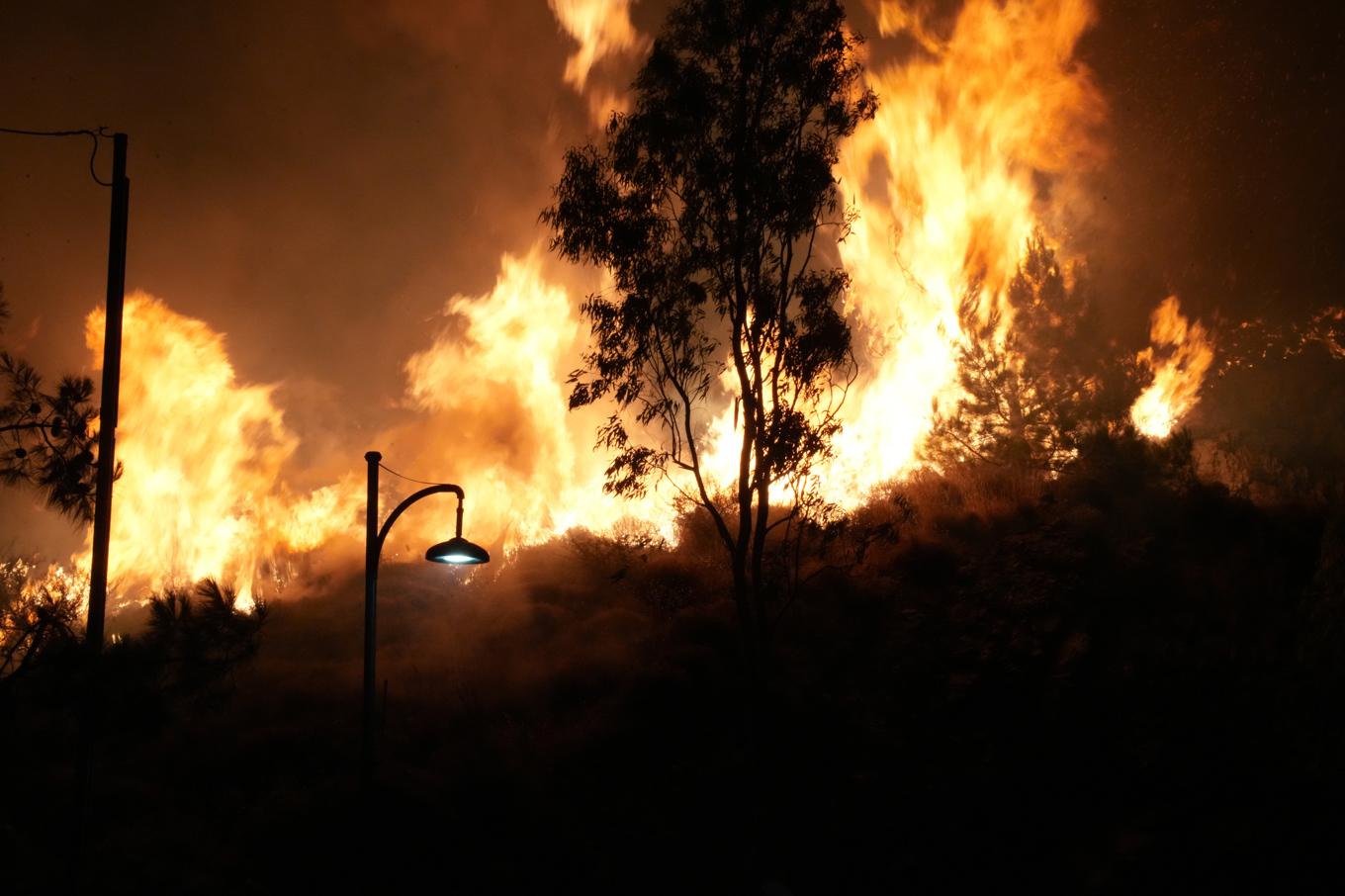 Det brinner kraftigt på den grekiska ön Chios. Bilden är tagen i söndags kväll. Foto: Pantelis Fykaris/Politischios.gr via AP/TT
