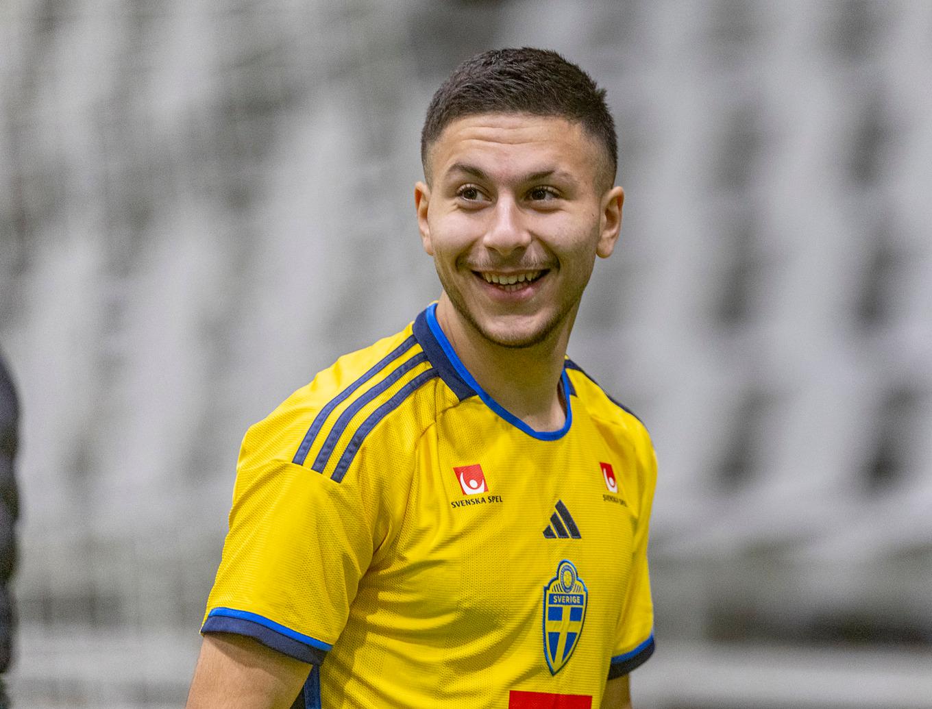Roony Bardghji. Arkivbild. Foto: Adam Ihse/TT