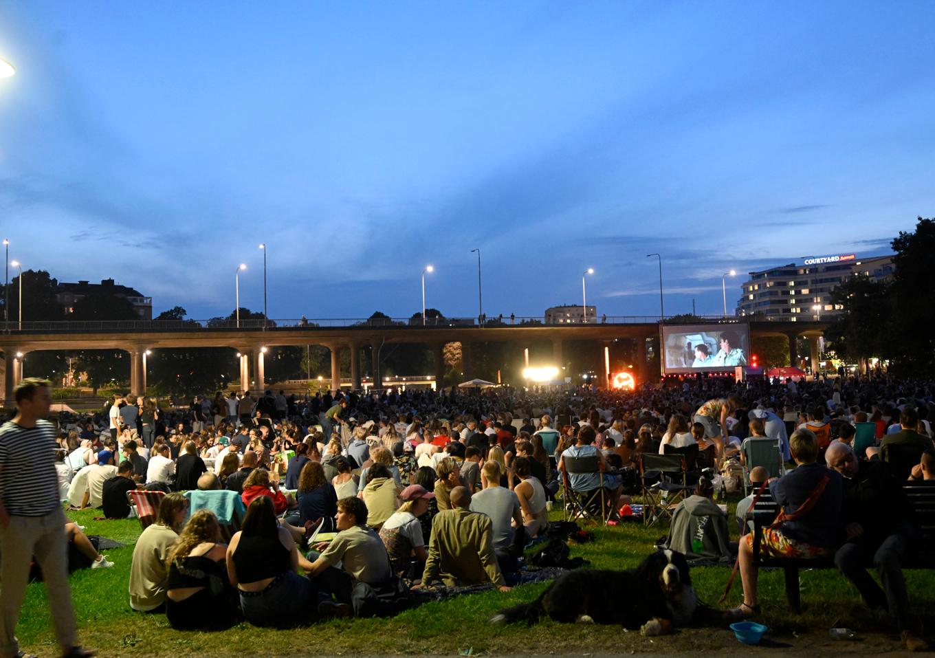 Stockholms Filmfestival sommarbio smygstartar i sommar med en visning på vatten och fortsätter sedan på land i Rålambshovsparken. Arkivbild. Foto: Fredrik Sandberg/TT