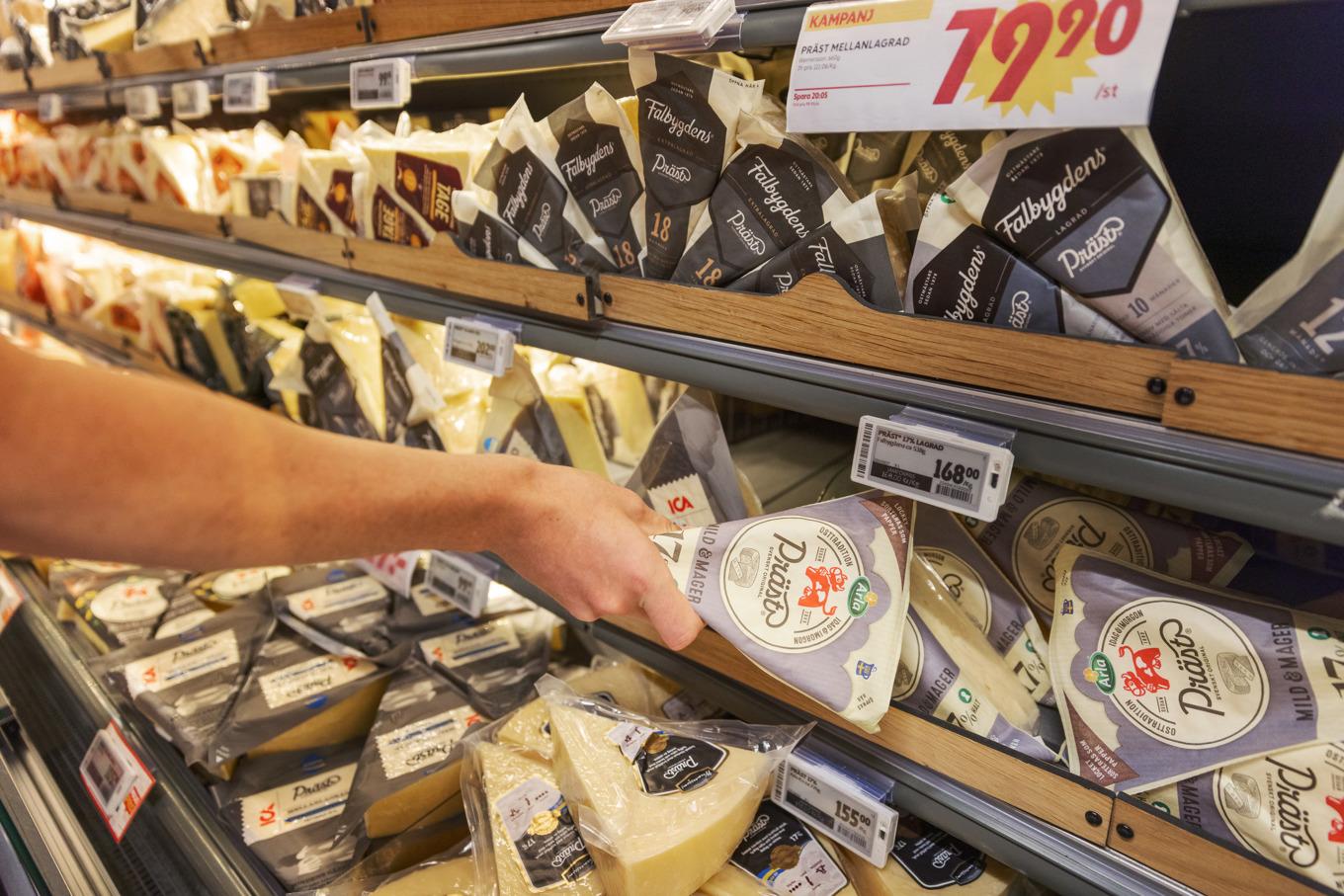 Mängden bakterier i svensk mjölk har kraftigt minskat de senaste årtioendena. Arkivbild. Foto: Caisa Rasmussen/TT