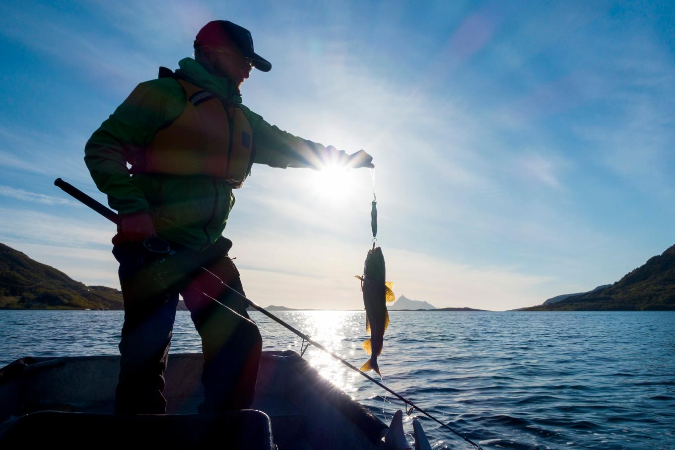 Sportfiskare uppmanas rapportera sjuka fiskar. Arkivbild. Foto: Gorm Kallestad/NTB/TT
