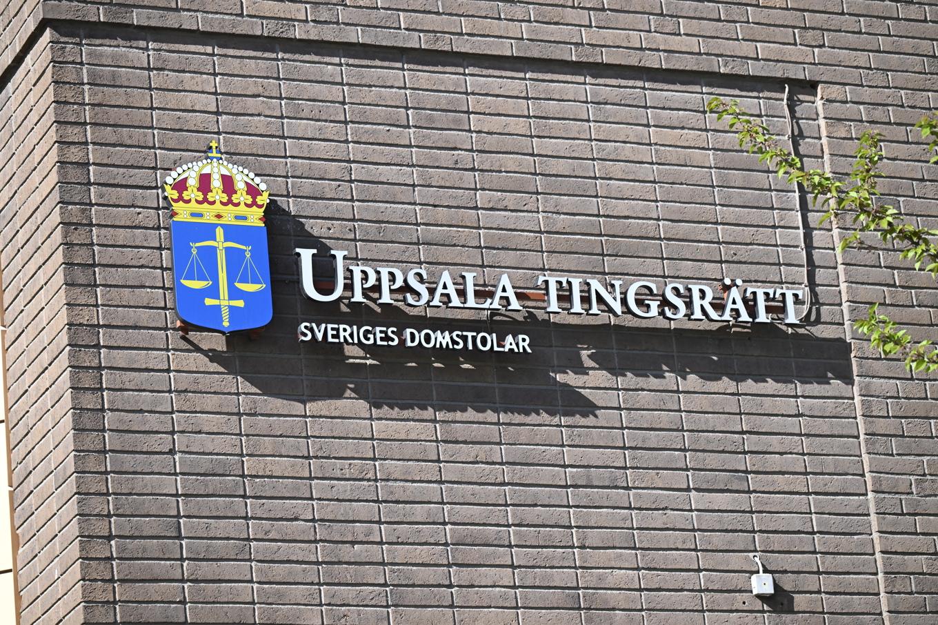 En man döms för att ha spridit pedofilrykten om ett par. Arkivbild. Foto: Jessica Gow/TT