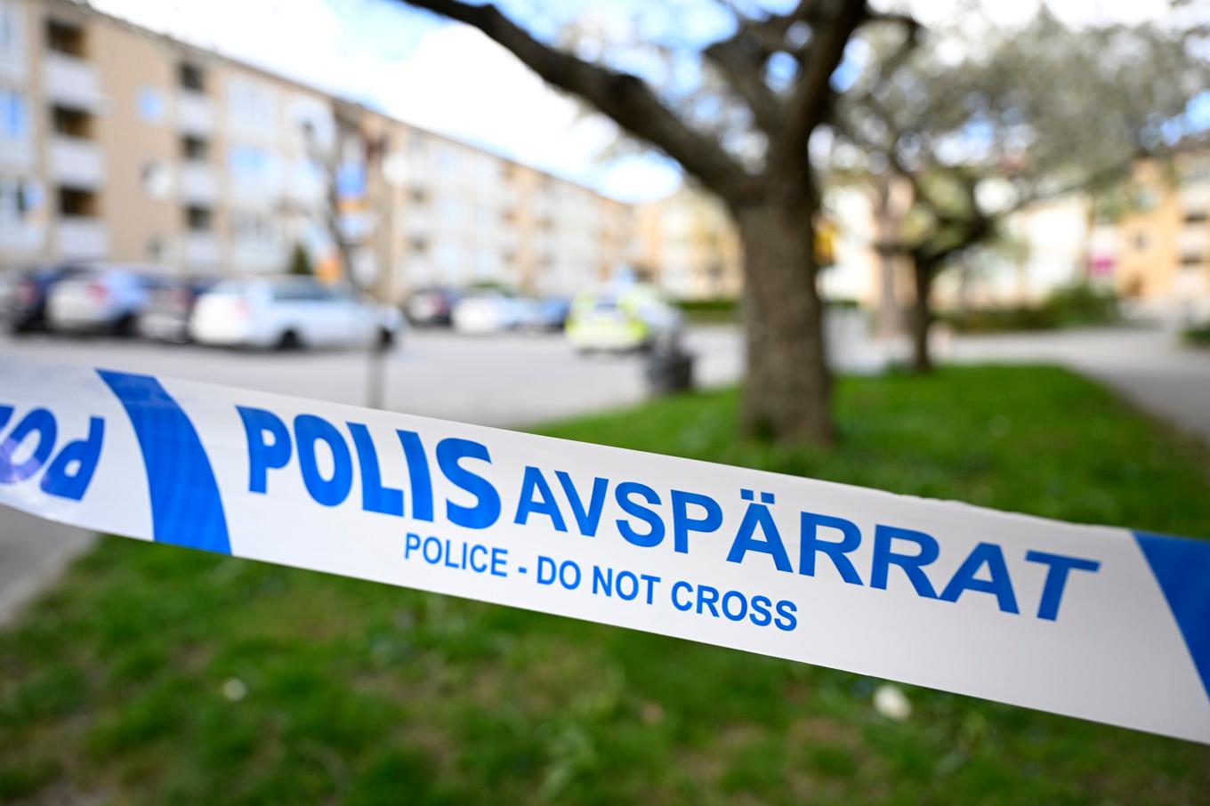 Skjutningar halverades under det första halvåret 2025, visar polisens statistik. Arkivbild. Foto: Jessica Gow/TT